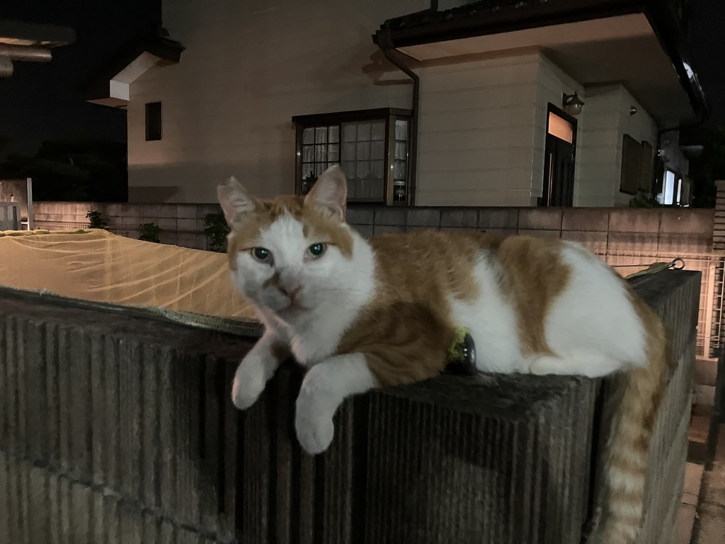 チャッくん(階段)